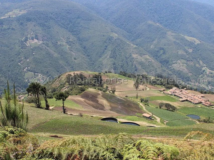 Terreno (Comercial) en Venta en Cacute, Merida - 51