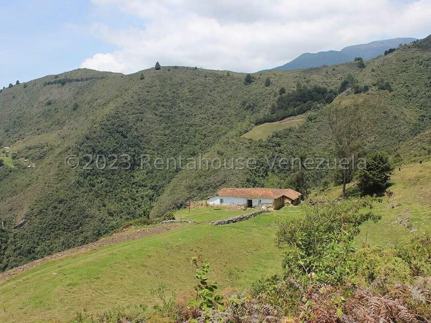 Terreno (Comercial) en Venta en Cacute, Merida - 55