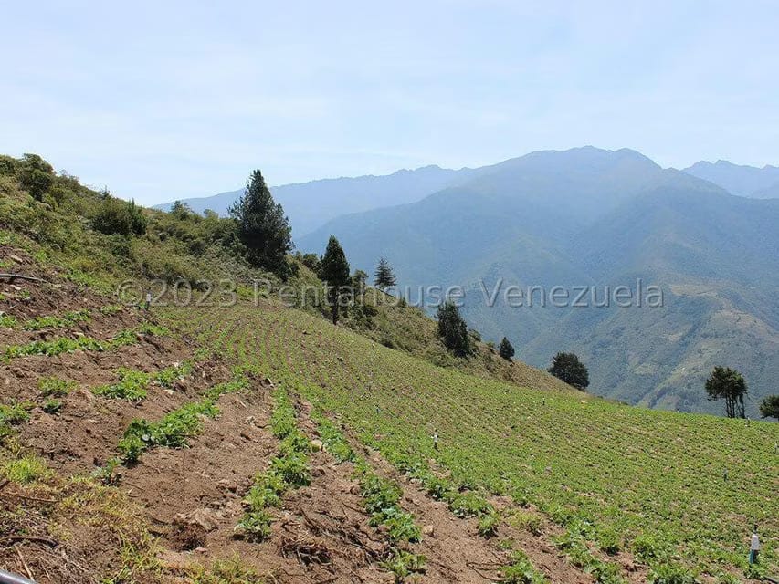 Terreno (Comercial) en Venta en Cacute, Merida - 56
