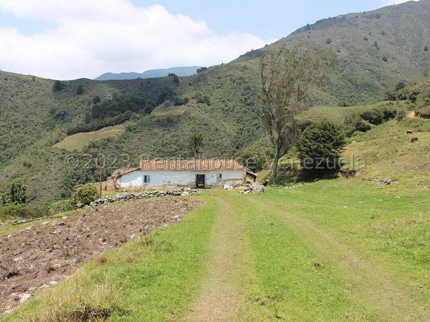 Terreno (Comercial) en Venta en Cacute, Merida - 59