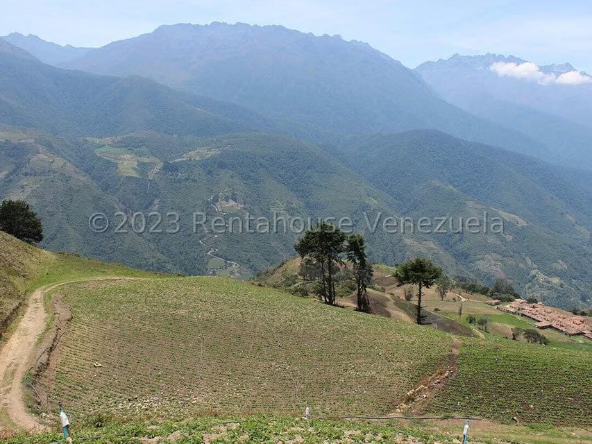 Terreno (Comercial) en Venta en Cacute, Merida - 60