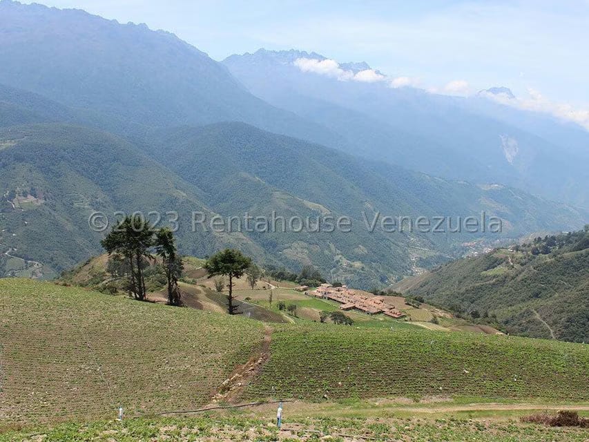 Terreno (Comercial) en Venta en Cacute, Merida - 61