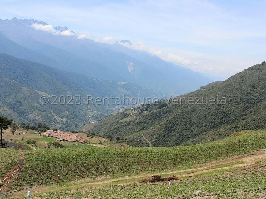Terreno (Comercial) en Venta en Cacute, Merida - 62