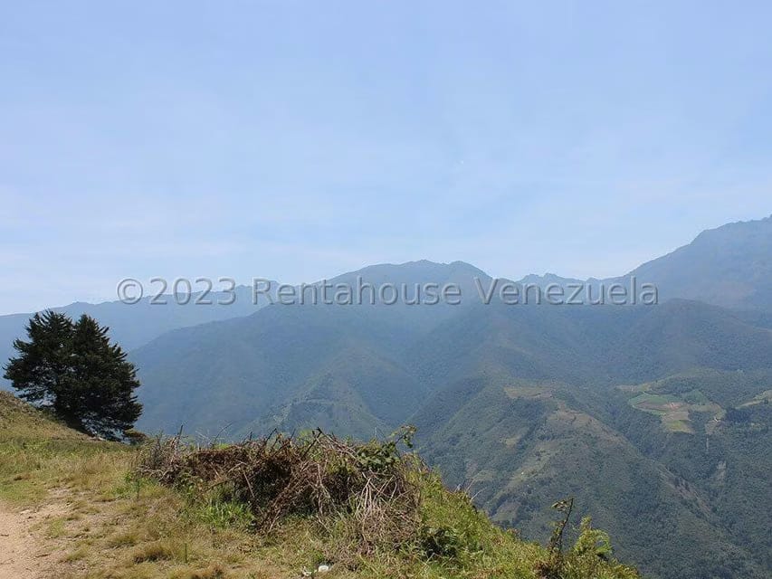 Terreno (Comercial) en Venta en Cacute, Merida - 68