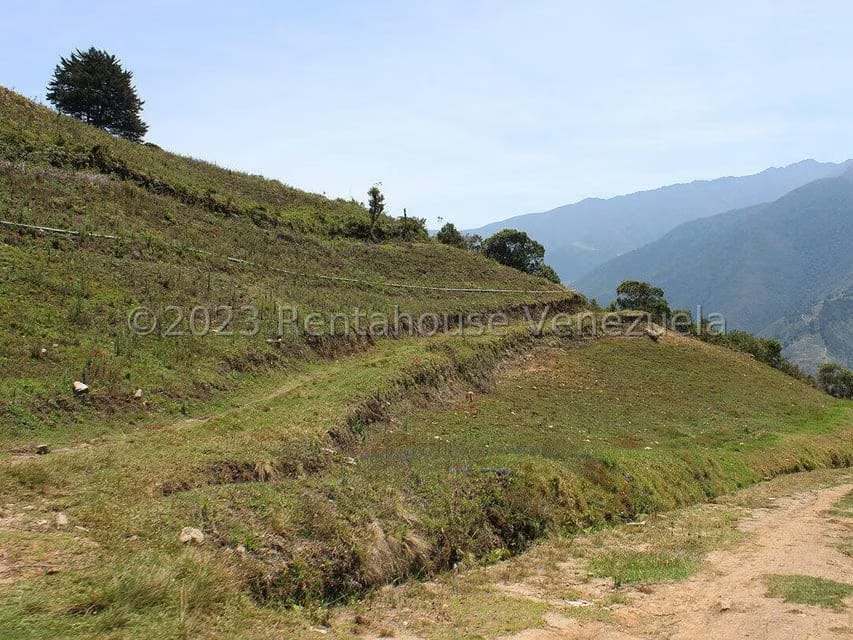 Terreno (Comercial) en Venta en Cacute, Merida - 70