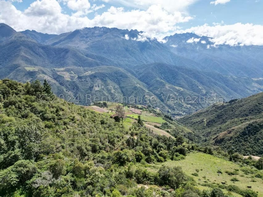 Terreno (Comercial) en Venta en Cacute, Merida - 8