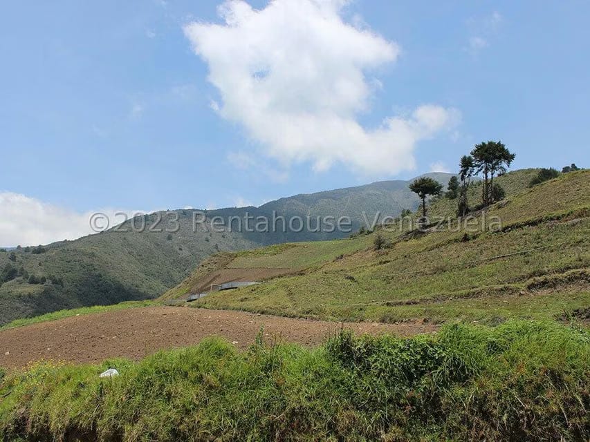 Terreno (Comercial) en Venta en Cacute, Merida - 71