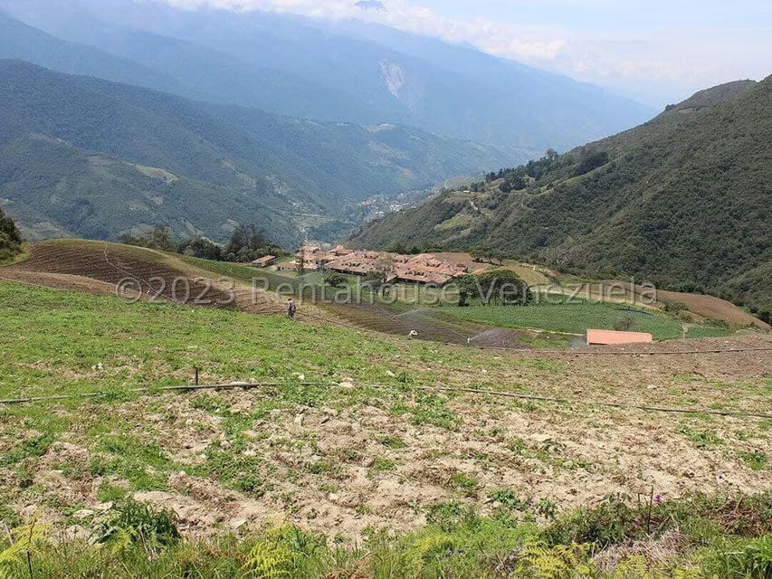 Terreno (Comercial) en Venta en Cacute, Merida - 72