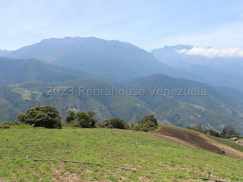 Terreno (Comercial) en Venta en Cacute, Merida - 74