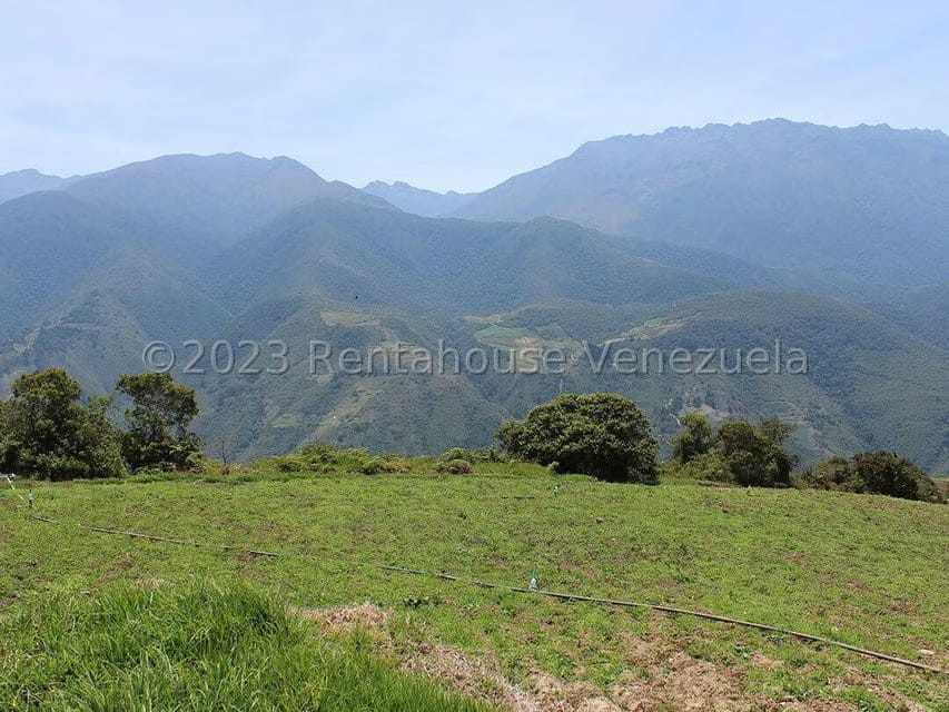 Terreno (Comercial) en Venta en Cacute, Merida - 75