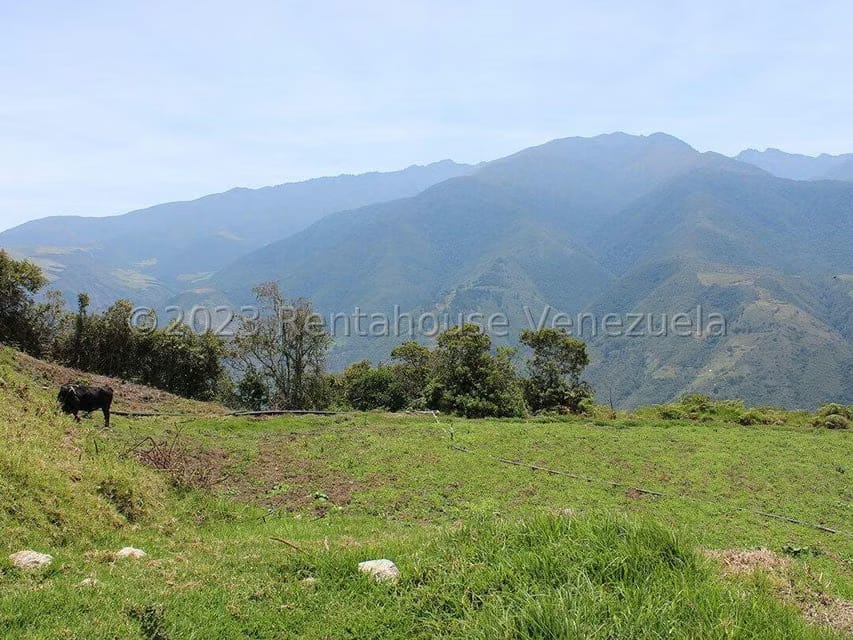 Terreno (Comercial) en Venta en Cacute, Merida - 76