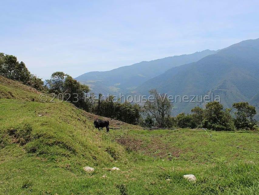 Terreno (Comercial) en Venta en Cacute, Merida - 77