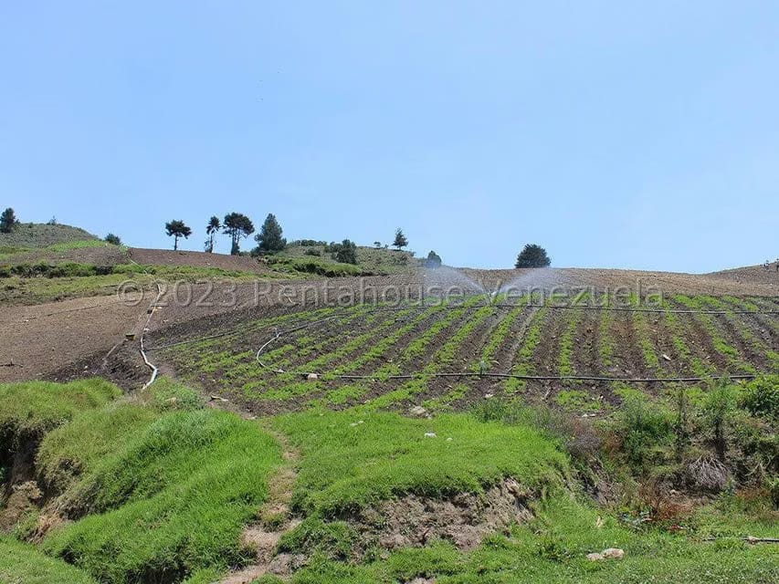 Terreno (Comercial) en Venta en Cacute, Merida - 80