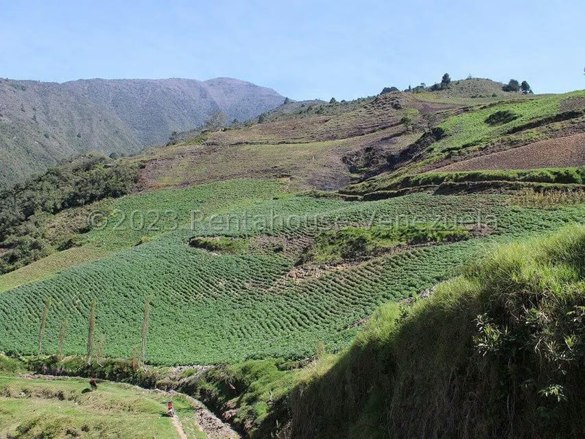 Terreno (Comercial) en Venta en Cacute, Merida - 9