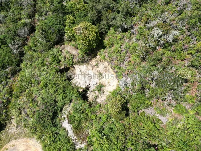 Terreno (Comercial) en Venta en Cacute, Merida - 81
