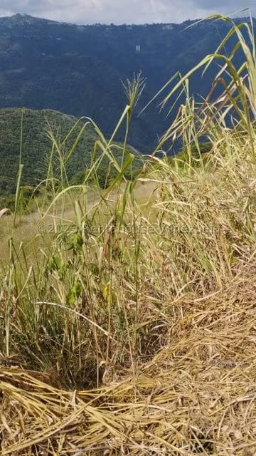 Terreno (Residencial) en Venta en Caicaguana, Distrito Metropolitano - 6