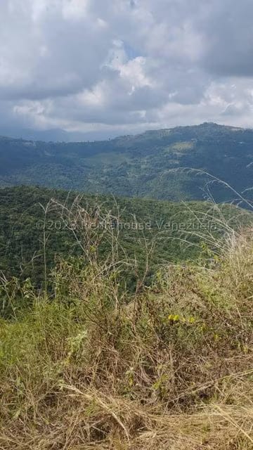 Terreno (Residencial) en Venta en Caicaguana, Distrito Metropolitano - 7