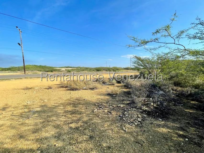 Terreno (Comercial) en Venta en Guanadito, Falcon