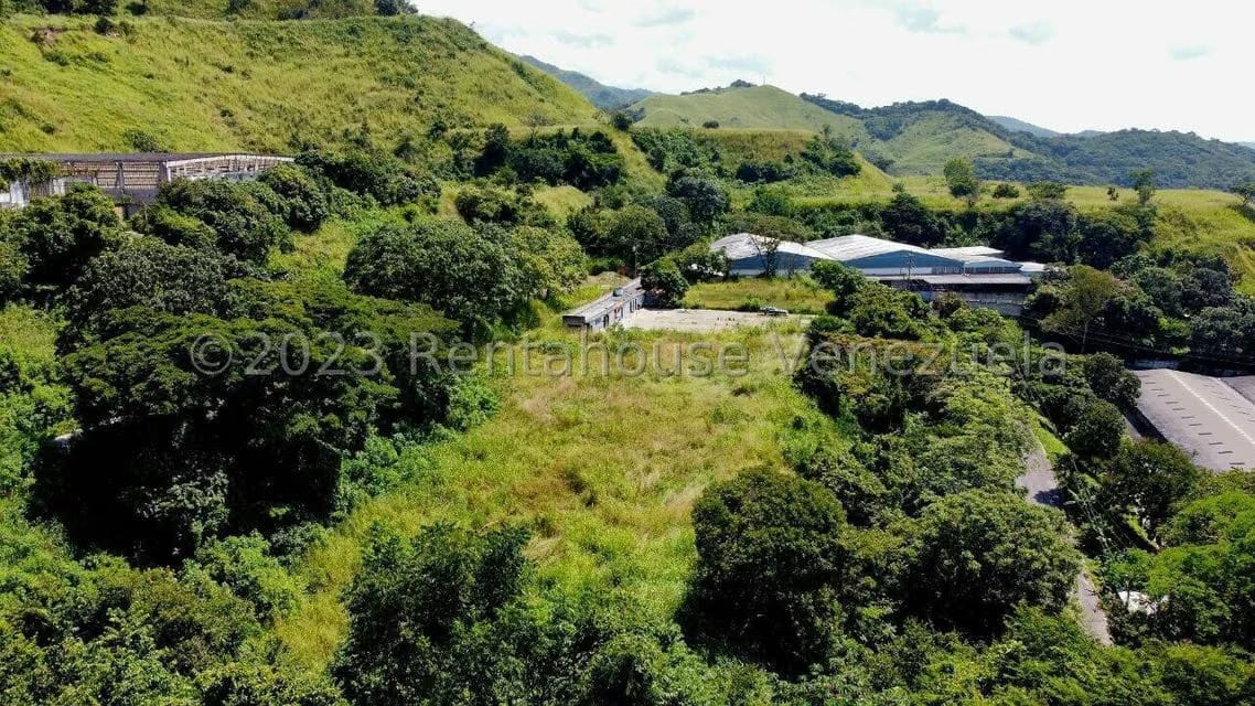 Terreno (Comercial) en Venta en Los Anaucos, Miranda - 12