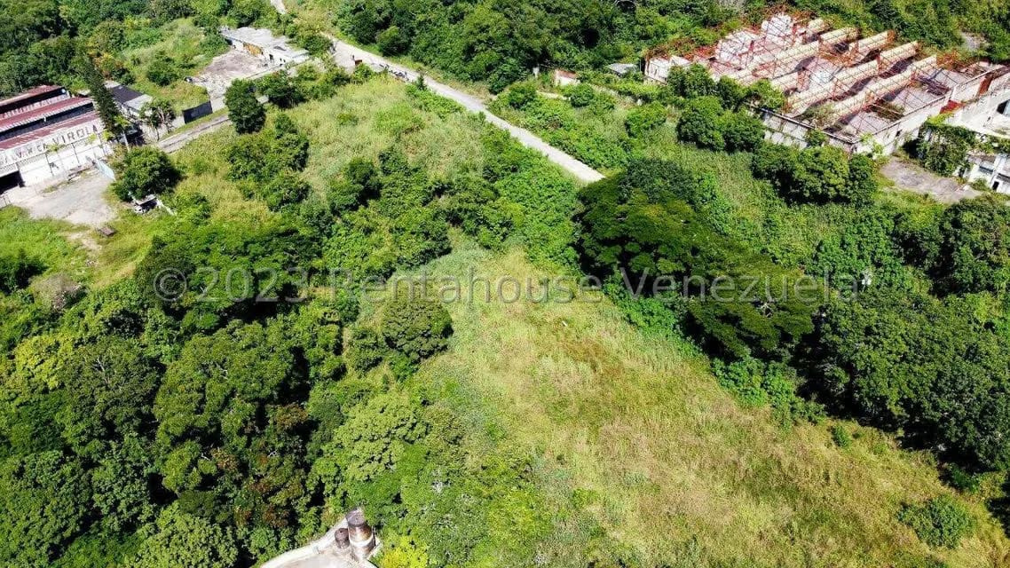 Terreno (Comercial) en Venta en Los Anaucos, Miranda - 17