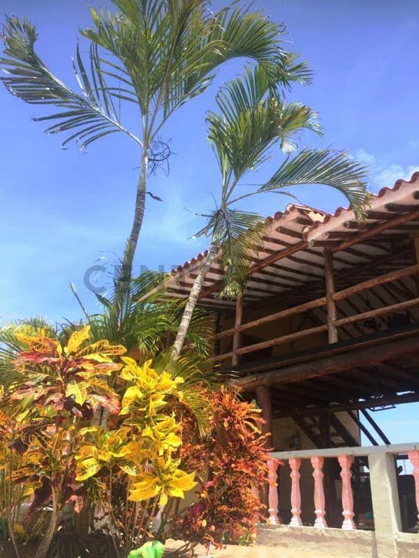 Posada en Guacuco lista para trabajar - 9