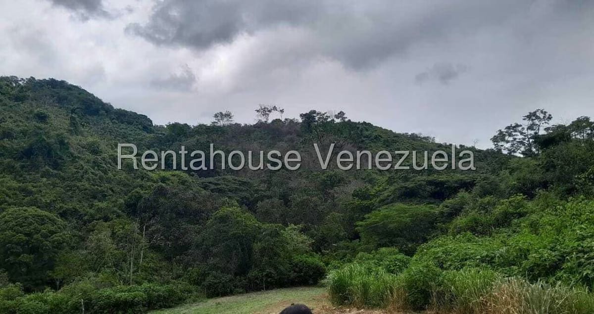 Terreno (Finca) en Venta en Parques Del Sur, Miranda - 2