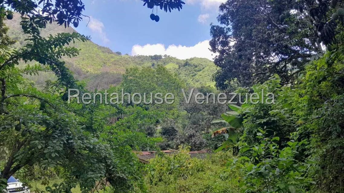 Terreno (Finca) en Venta en Parques Del Sur, Miranda - 6