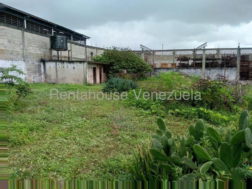 Comercial (Local Comercial) en Venta en Lizandro Alvarado, Carabobo - 15
