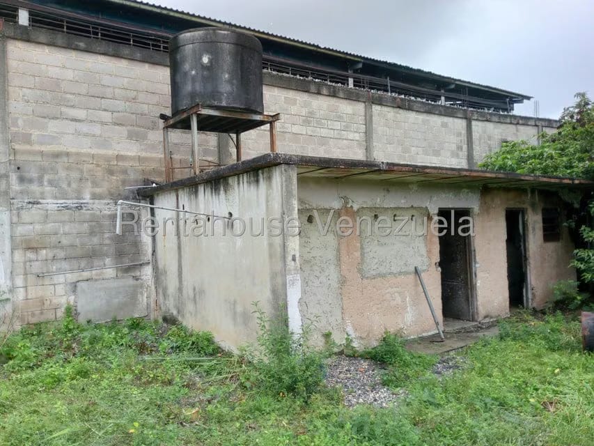 Comercial (Local Comercial) en Venta en Lizandro Alvarado, Carabobo - 16