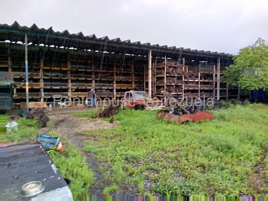 Comercial (Local Comercial) en Venta en Lizandro Alvarado, Carabobo - 18