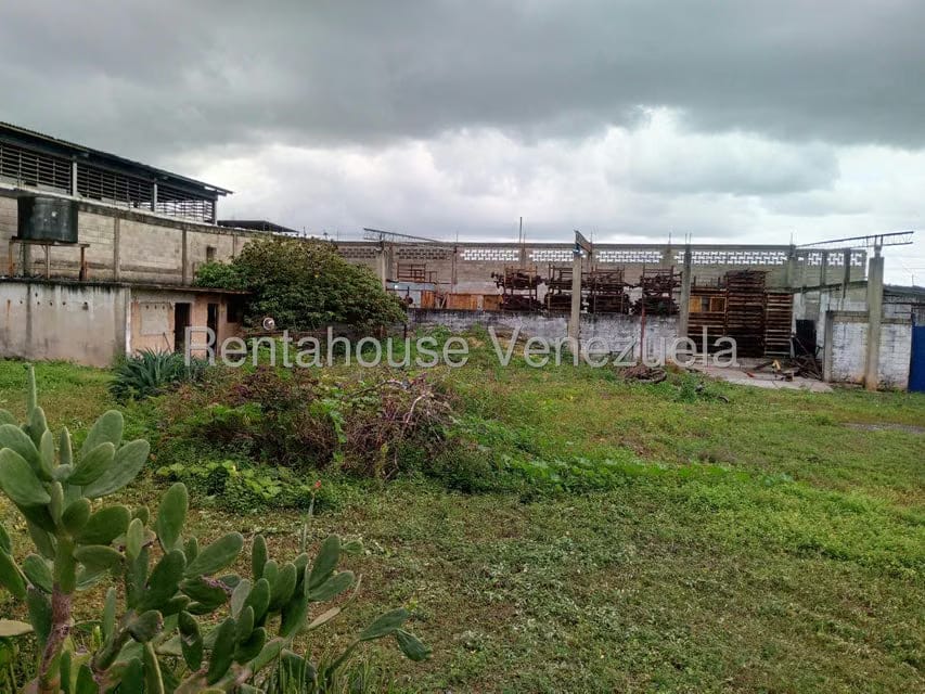 Comercial (Local Comercial) en Venta en Lizandro Alvarado, Carabobo - 6