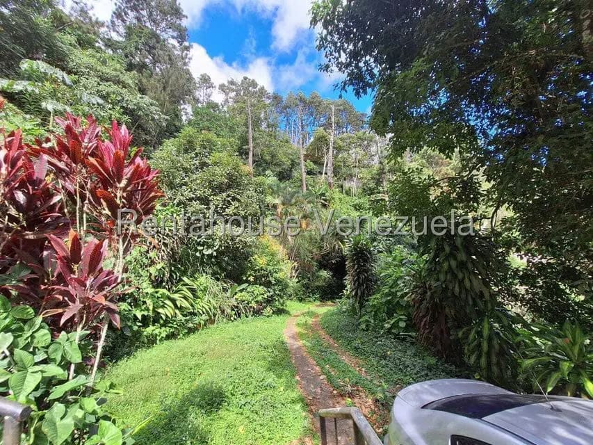 Casa (Duplex) en Venta en Cerro Alto, Miranda - 43