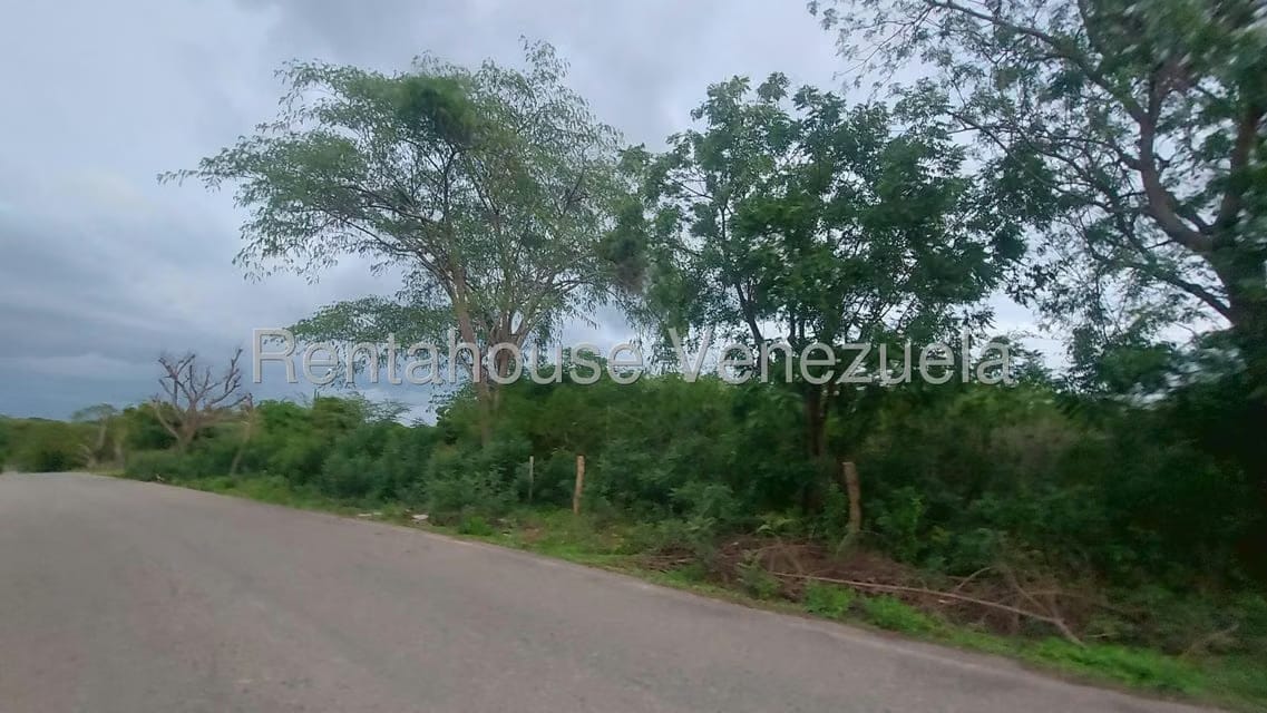 Terreno (Comercial) en Venta en El Danto, Zulia - 11