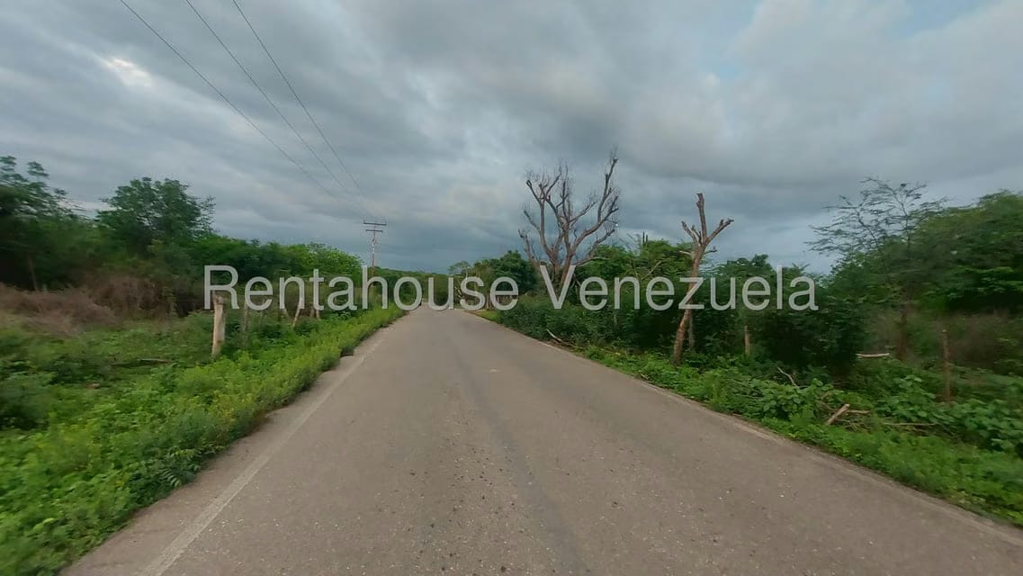 Terreno (Comercial) en Venta en El Danto, Zulia - 4