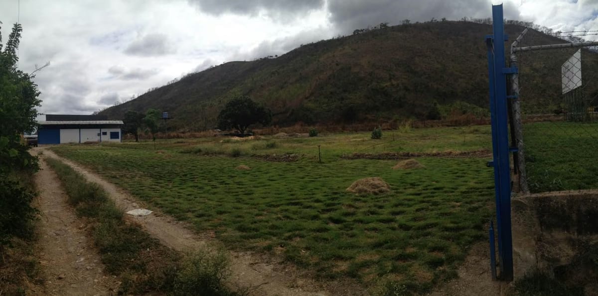 Terreno (Comercial) en Venta en El Manantial, Aragua - 39