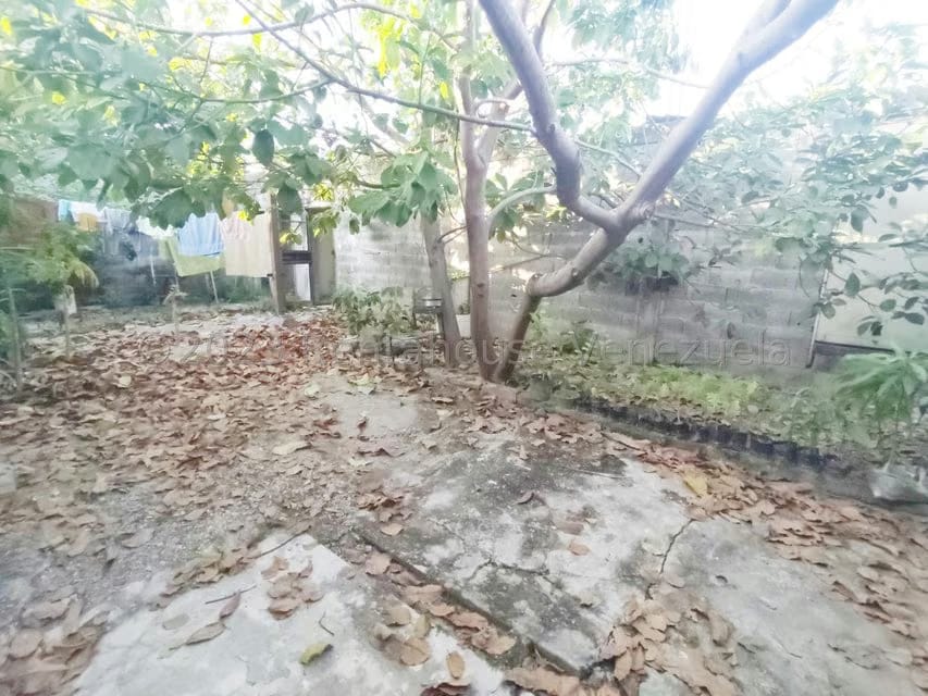 Comercial (Local Comercial) en Venta en Municipio Peña, Yaracuy - 25