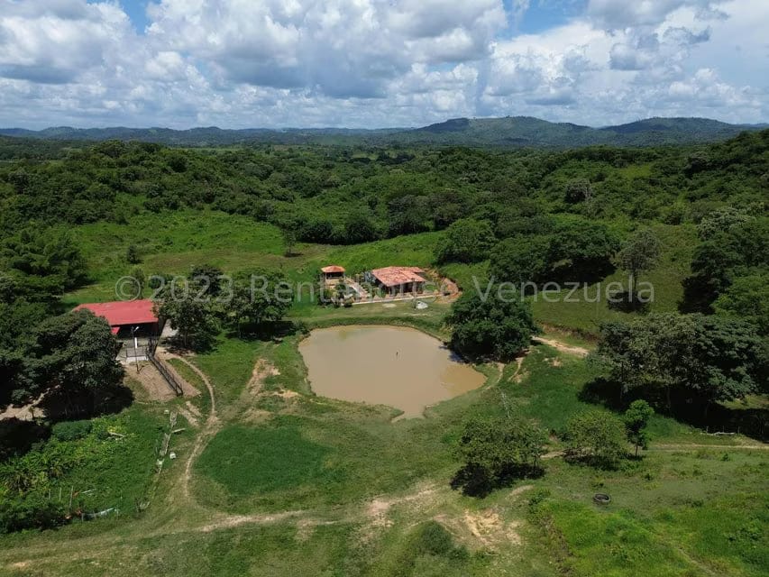 Terreno (Finca) en Venta en El Mayal, Lara - 2
