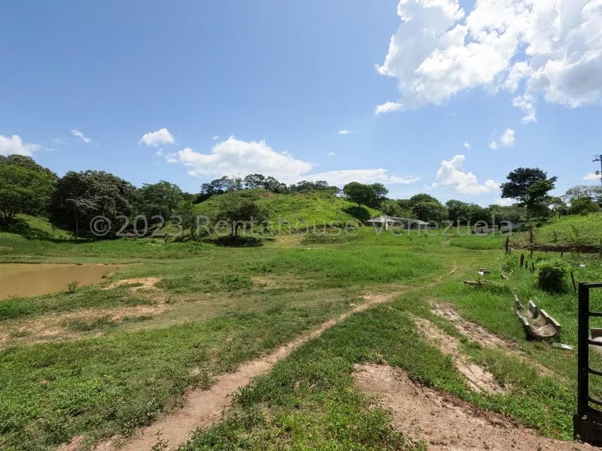 Terreno (Finca) en Venta en El Mayal, Lara - 13