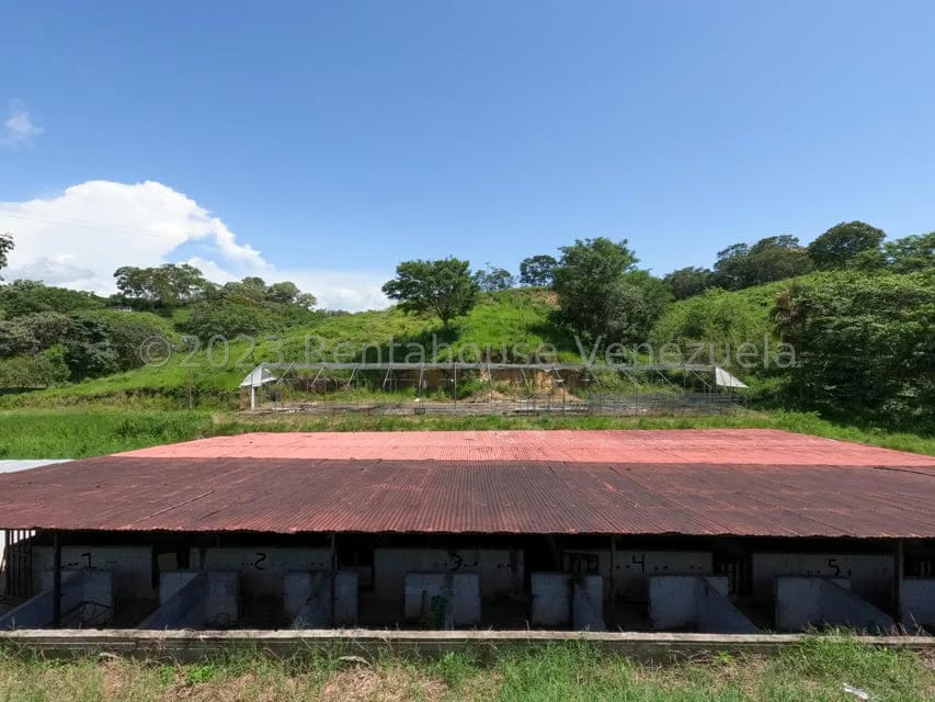 Terreno (Finca) en Venta en El Mayal, Lara - 20