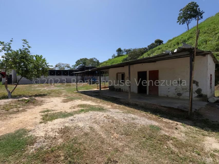 Terreno (Finca) en Venta en El Mayal, Lara - 24