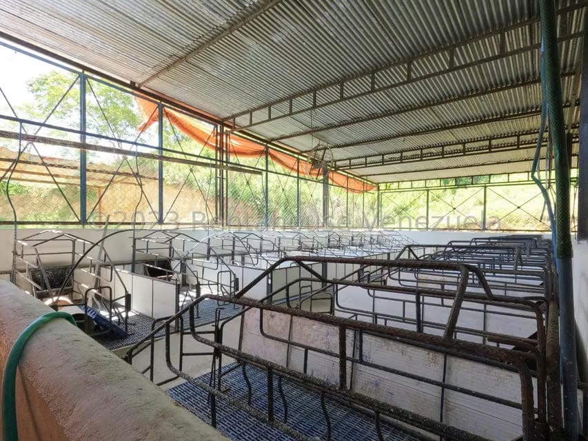 Terreno (Finca) en Venta en El Mayal, Lara - 29