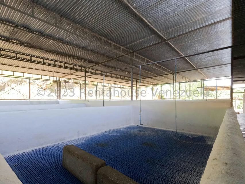 Terreno (Finca) en Venta en El Mayal, Lara - 31