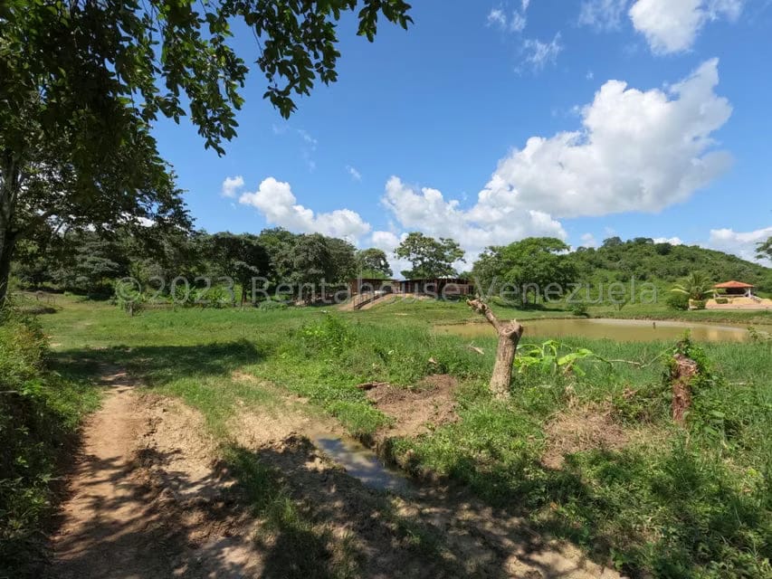Terreno (Finca) en Venta en El Mayal, Lara - 35