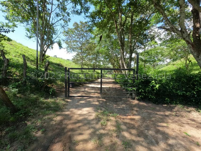 Terreno (Finca) en Venta en El Mayal, Lara - 37