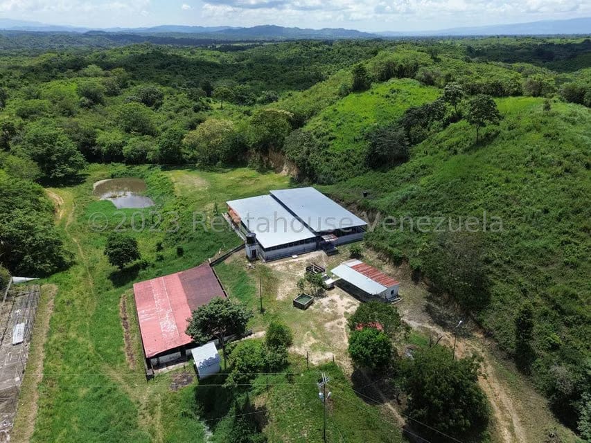 Terreno (Finca) en Venta en El Mayal, Lara - 5