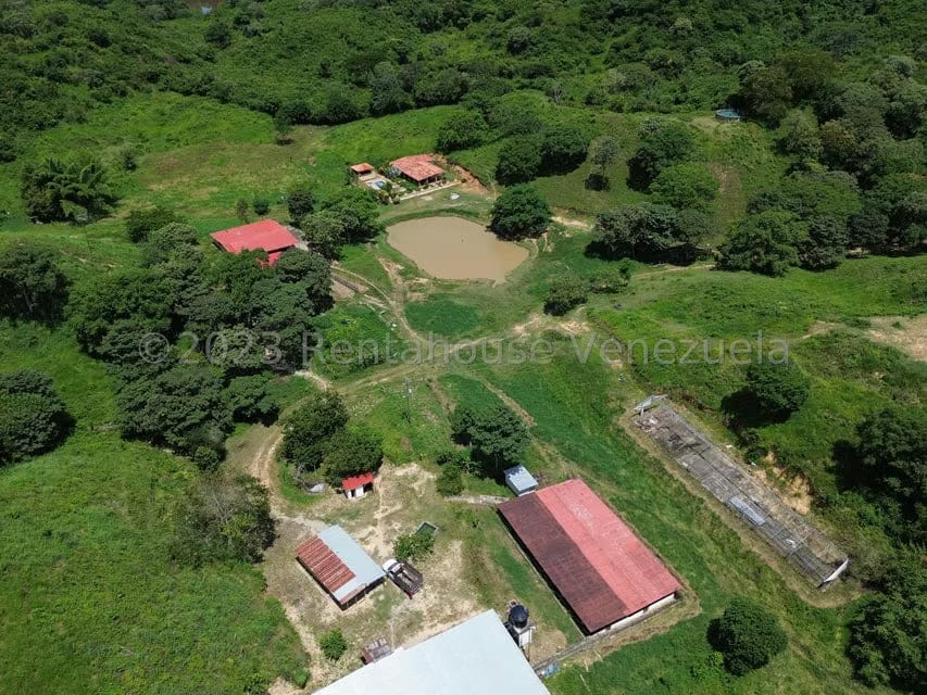 Terreno (Finca) en Venta en El Mayal, Lara - 7