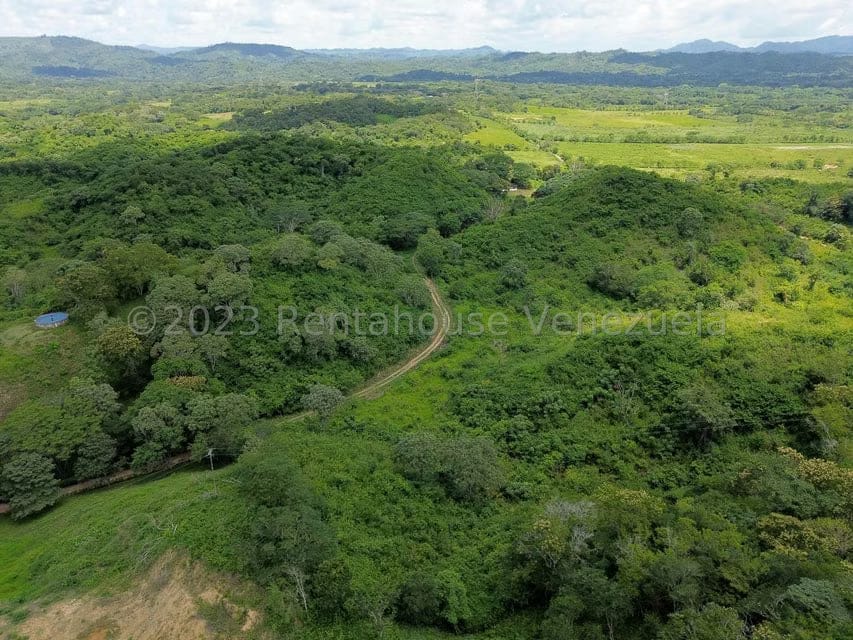 Terreno (Finca) en Venta en El Mayal, Lara - 9