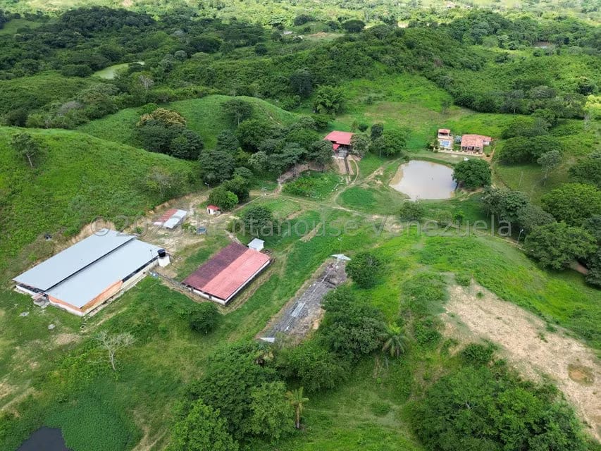 Terreno (Finca) en Venta en El Mayal, Lara - 10
