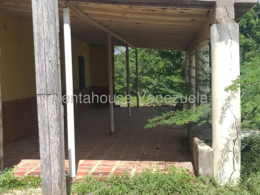 Terreno (Finca) en Venta en Los Taques, Falcon - 19