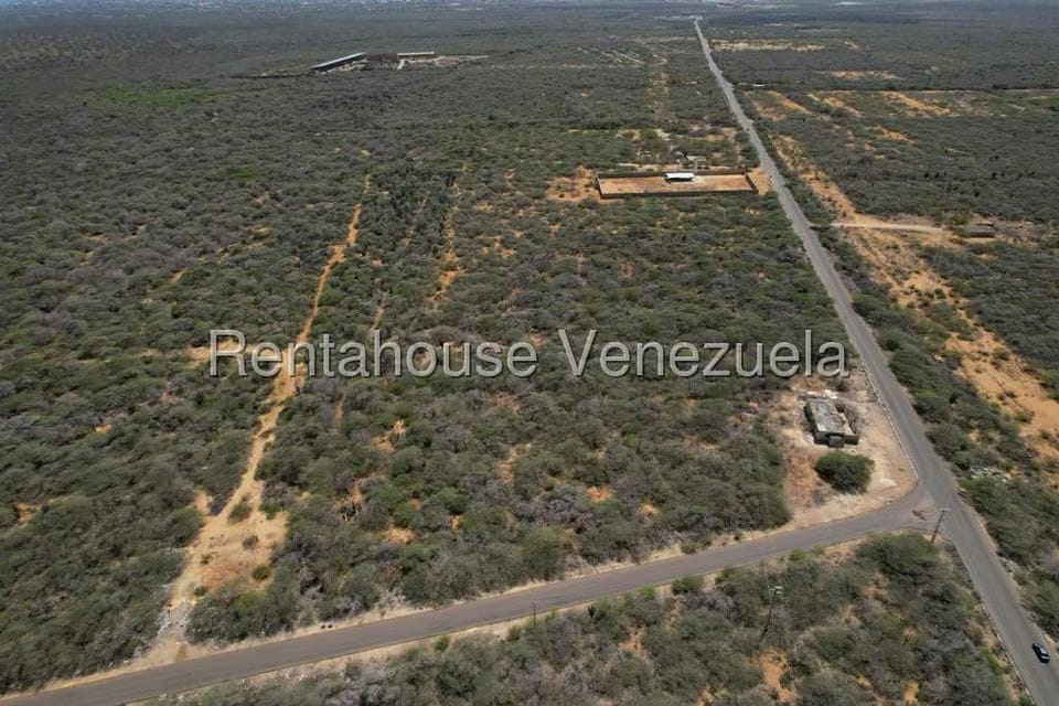 Terreno (Finca) en Venta en Los Taques, Falcon - 3